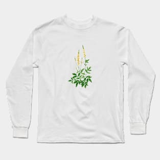 August 21st birthday flower Long Sleeve T-Shirt